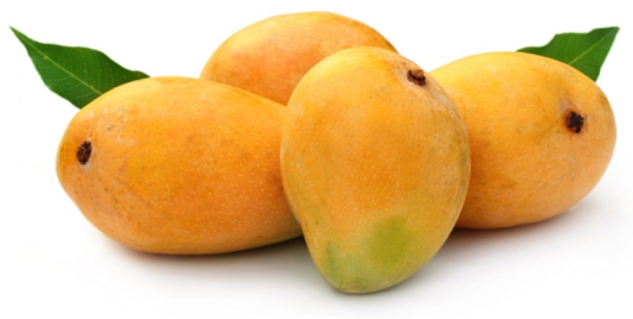 Mango